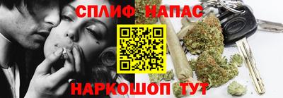 МДПВ Будённовск