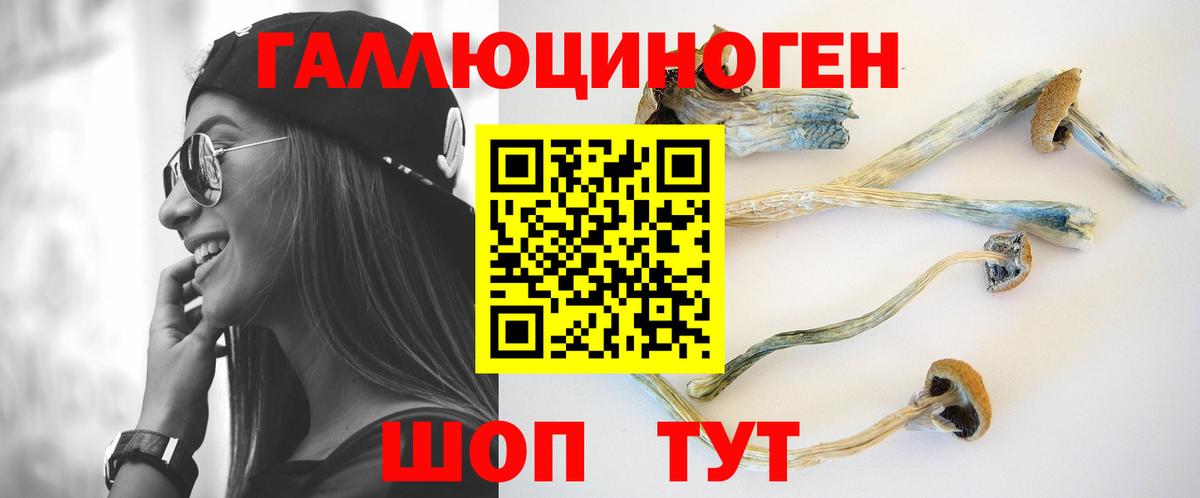 Полевской  Псилоцибиновые грибы Psilocybe  Вход с VPN 